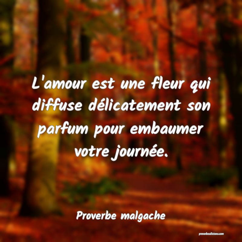 L'amour est une fleur qui diffuse délicatement son parfum pour embaumer votre journée.