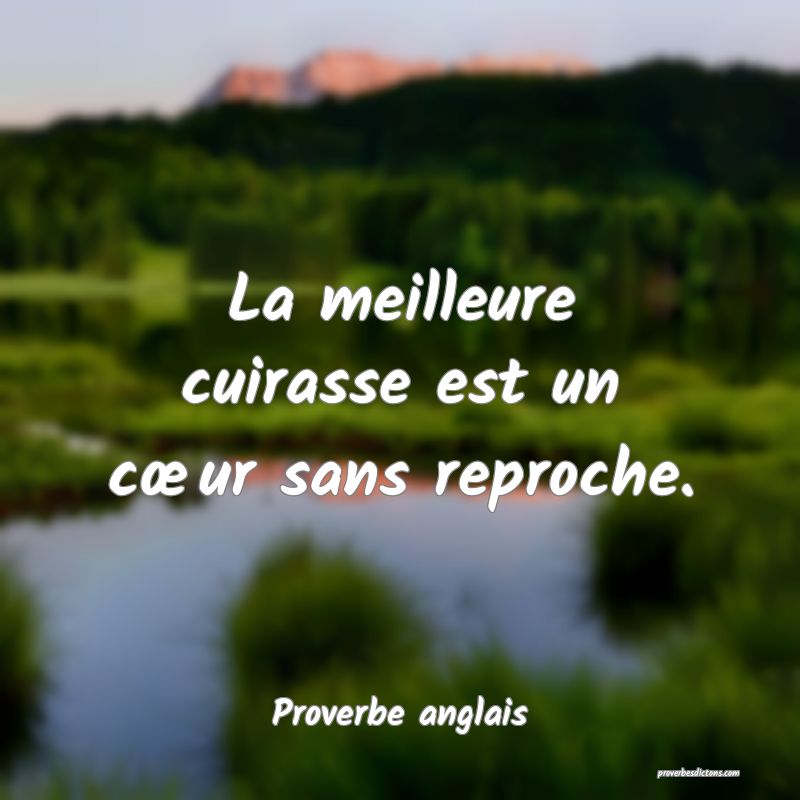 La meilleure cuirasse est un cœur sans reproche.