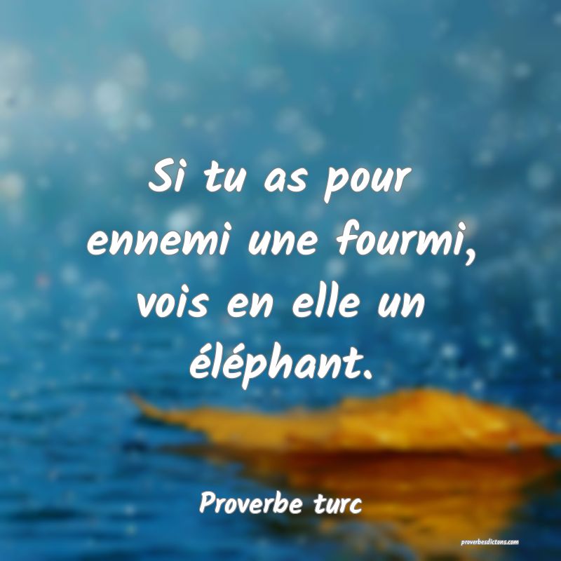 Si tu as pour ennemi une fourmi, vois en elle un éléphant.