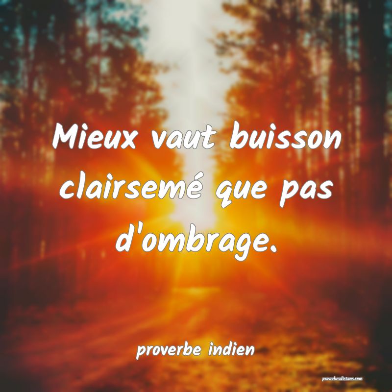  Mieux vaut buisson clairsemé que pas d'ombrage.