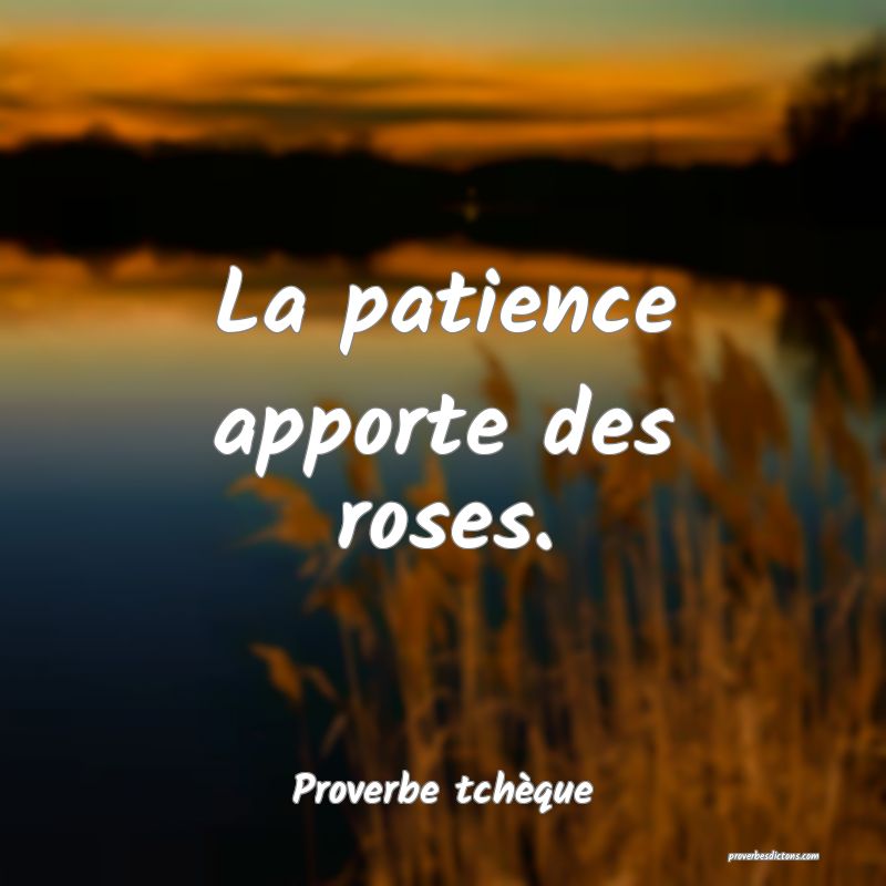 La patience apporte des roses.
