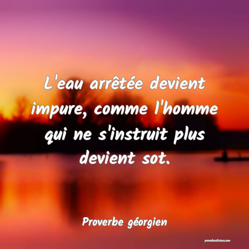 L'eau arrêtée devient impure, comme l'homme qui ne s'instruit plus devient sot.