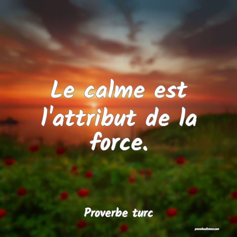 Le calme est l'attribut de la force.