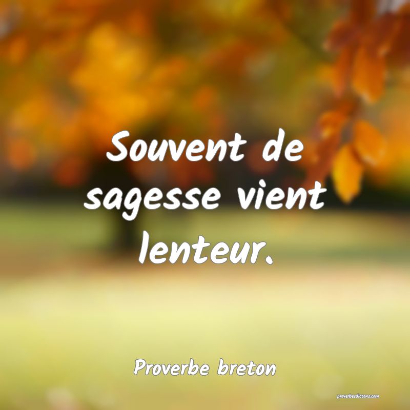 Souvent de sagesse vient lenteur.
