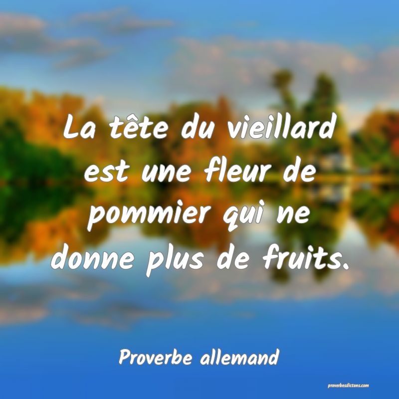 La tête du vieillard est une fleur de pommier qui ne donne plus de fruits.