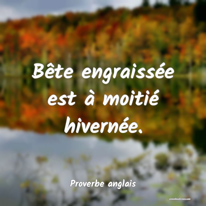 Bête engraissée est à moitié hivernée.