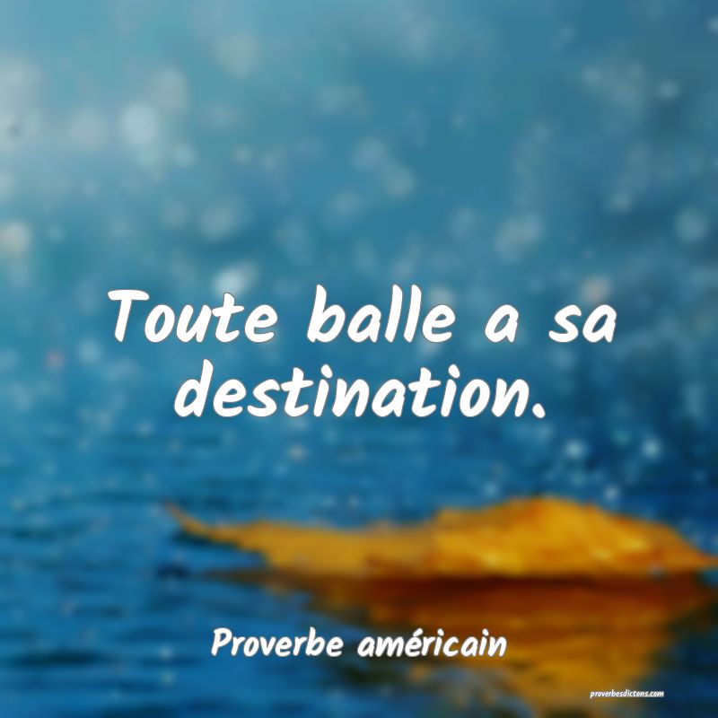 Toute balle a sa destination.