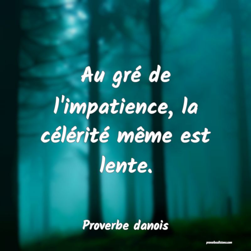 Au gré de l'impatience, la célérité même est lente.