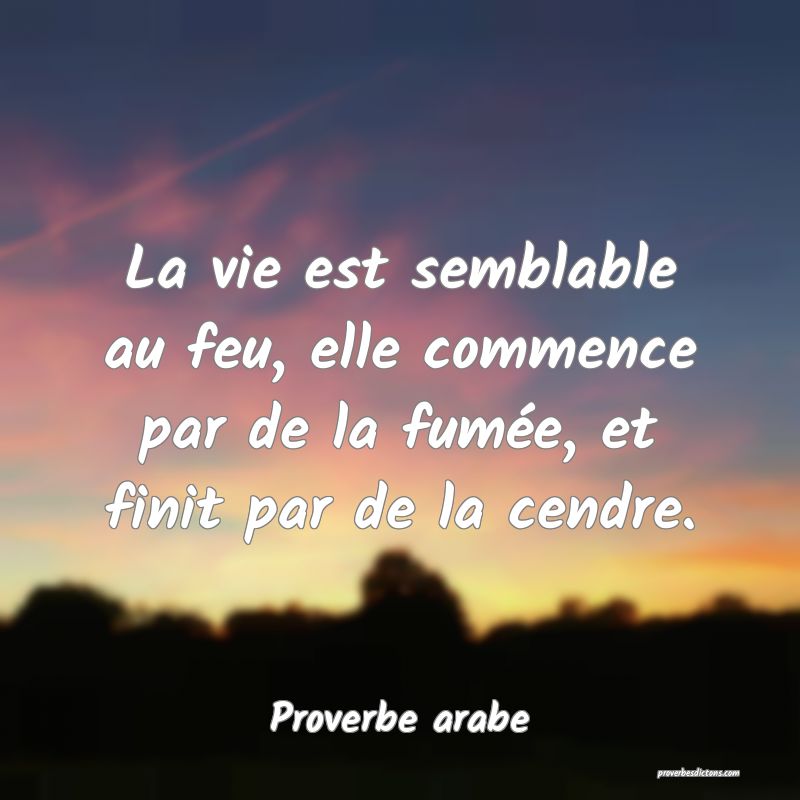 La vie est semblable au feu, elle commence par de la fumée, et finit par de la cendre.