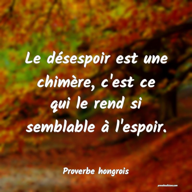 Le désespoir est une chimère, c'est ce qui le rend si semblable à l'espoir.
