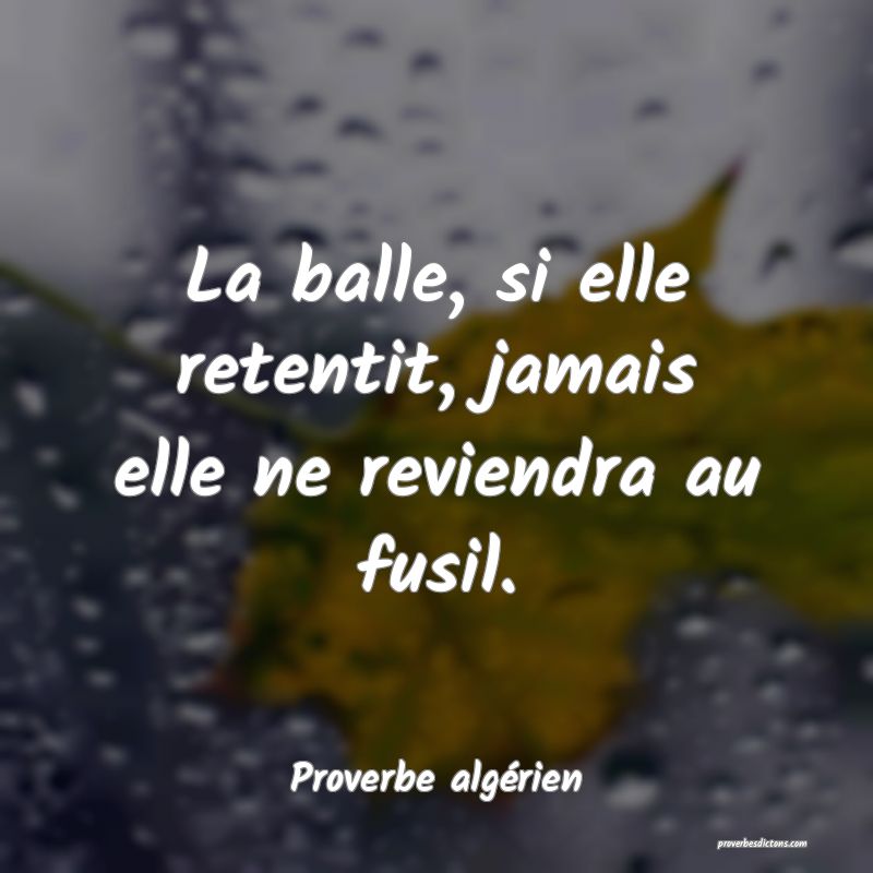 La balle, si elle retentit, jamais elle ne reviendra au fusil.