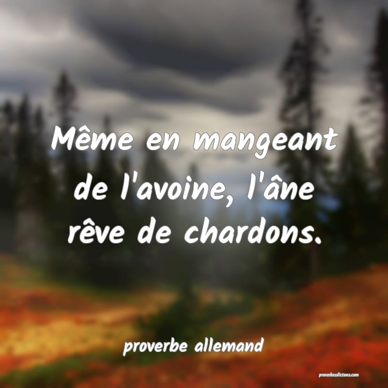  Même en mangeant de l'avoine, l'âne rêve de chardons.