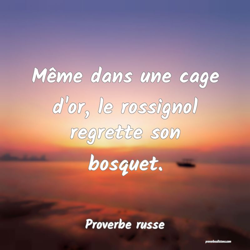  Même dans une cage d'or, le rossignol regrette son bosquet.