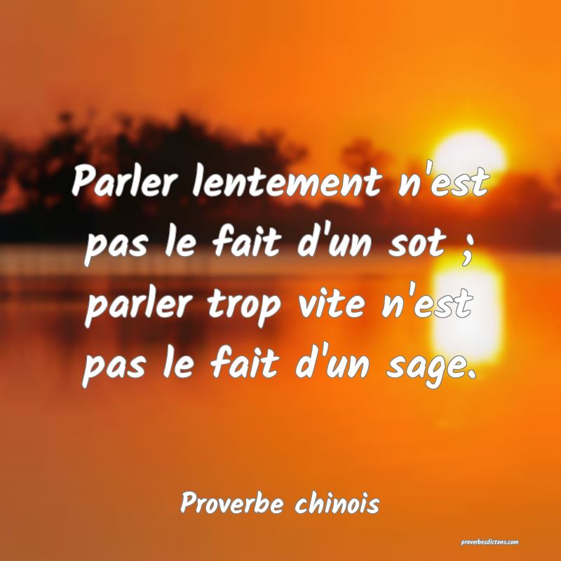 Parler lentement n'est pas le fait d'un sot ; parler trop vite n'est pas le fait d'un sage.