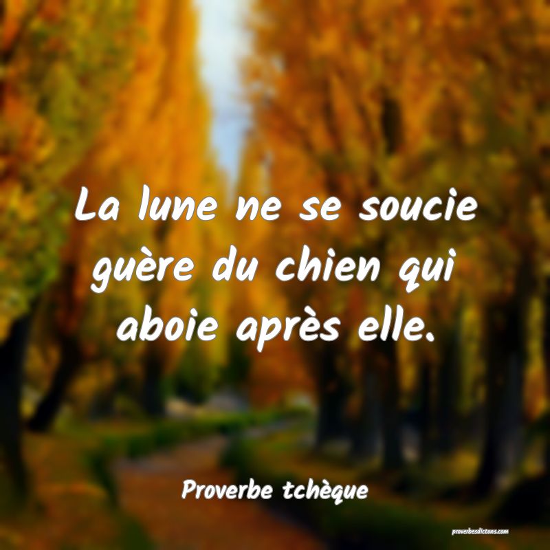 La lune ne se soucie guère du chien qui aboie après elle.