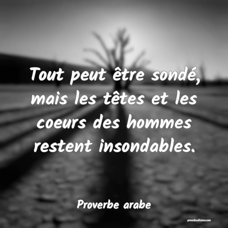 Tout peut être sondé, mais les têtes et les coeurs des hommes restent insondables.