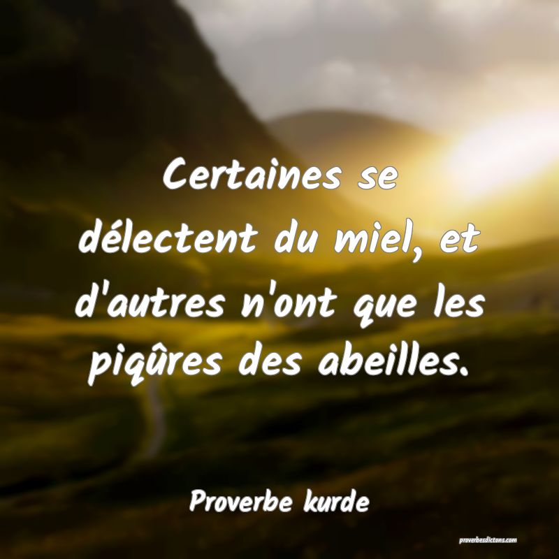 Certaines se délectent du miel, et d'autres n'ont que les piqûres des abeilles.