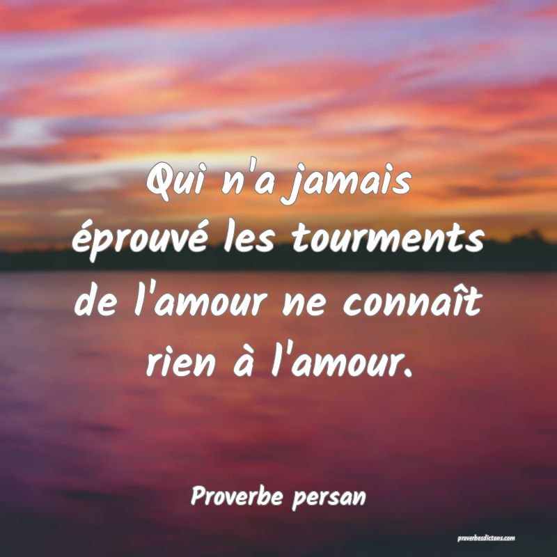 Qui n'a jamais éprouvé les tourments de l'amour ne connaît rien à l'amour.