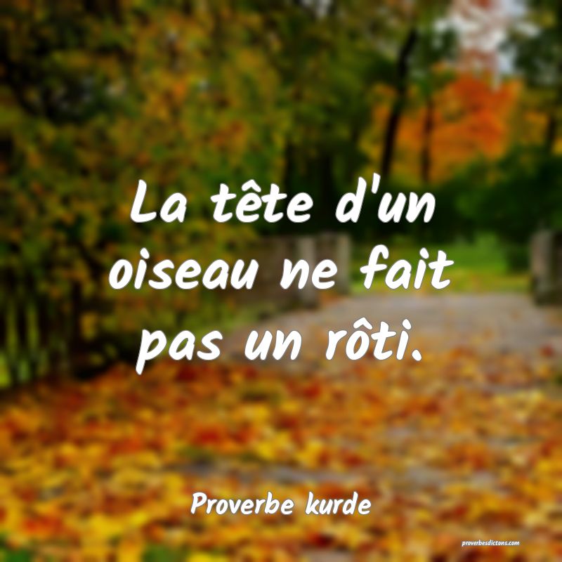 La tête d'un oiseau ne fait pas un rôti.