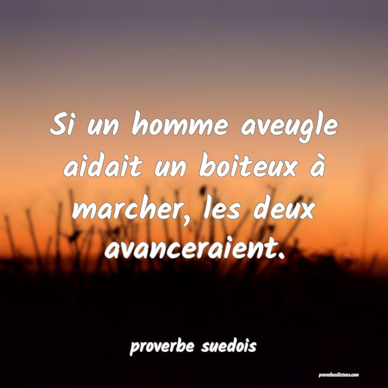  Si un homme aveugle aidait un boiteux à marcher, les deux avanceraient.