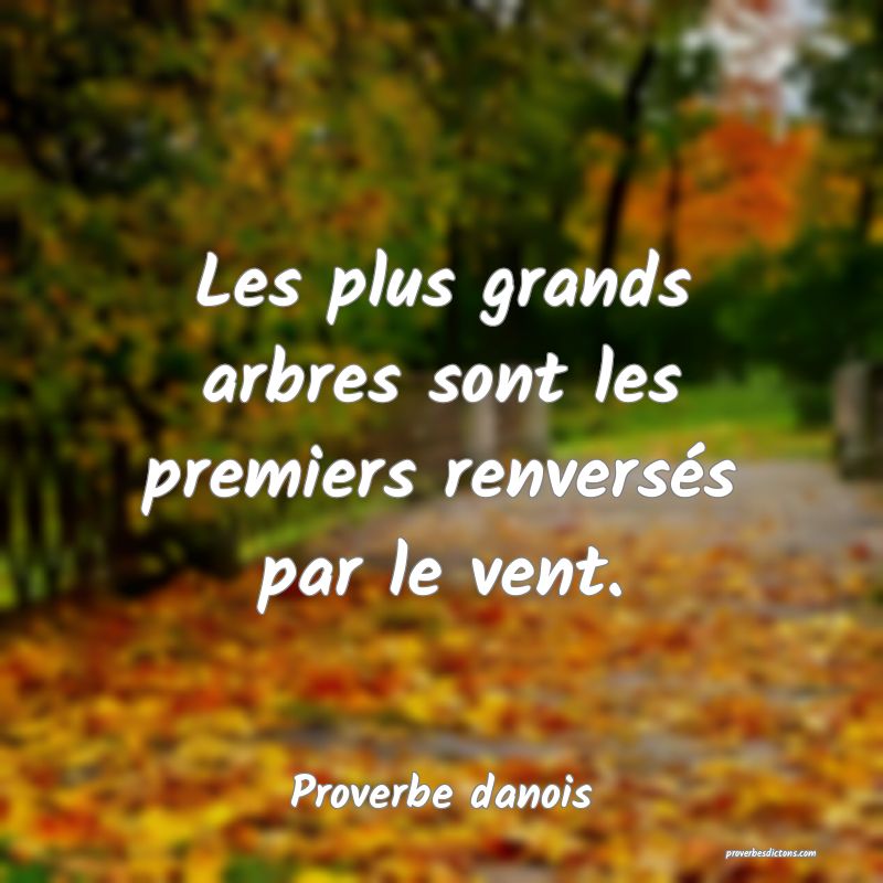 Les plus grands arbres sont les premiers renversés par le vent.