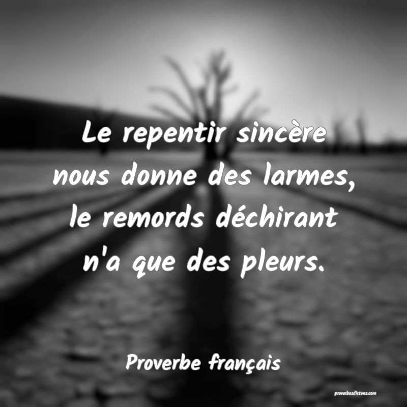 Le repentir sincère nous donne des larmes, le remords déchirant n'a que des pleurs.