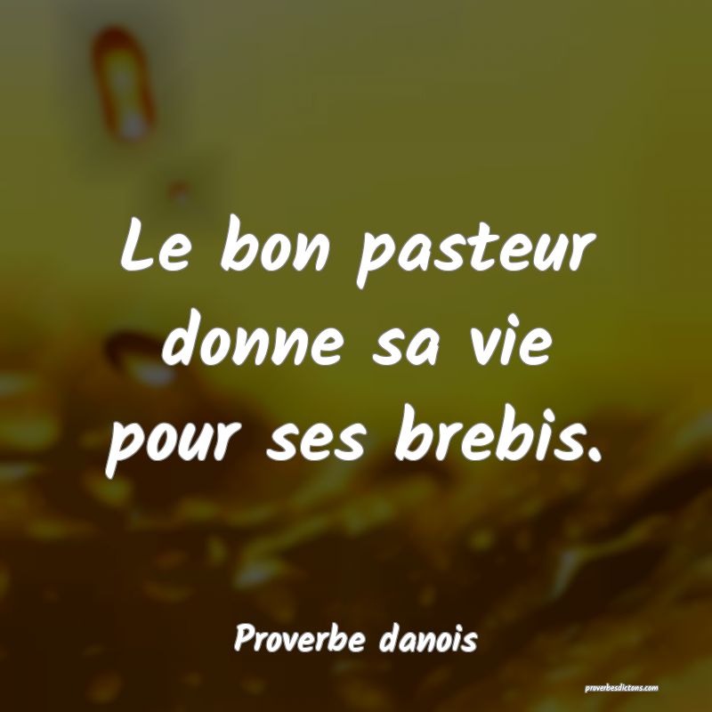 Le bon pasteur donne sa vie pour ses brebis.