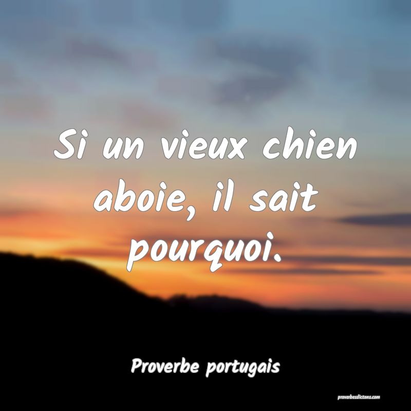Si un vieux chien aboie, il sait pourquoi.