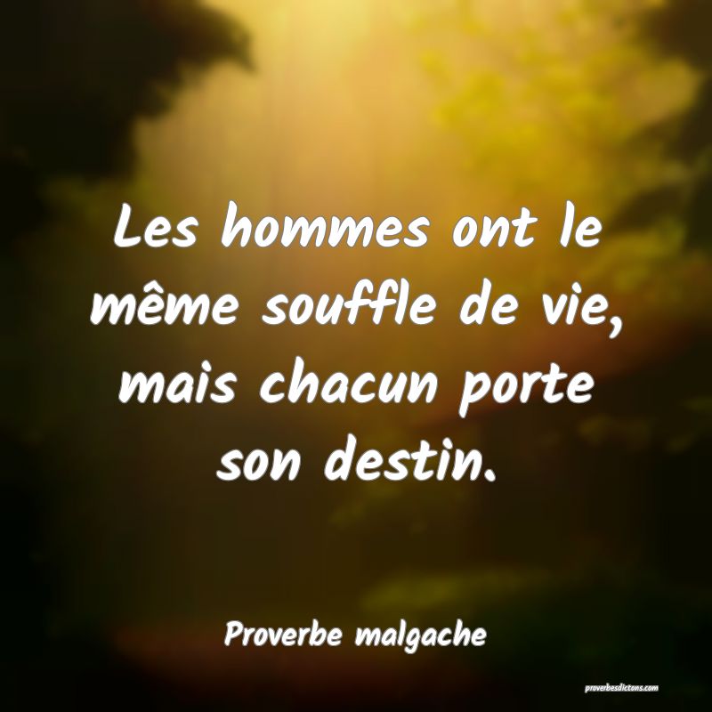 Les hommes ont le même souffle de vie, mais chacun porte son destin.