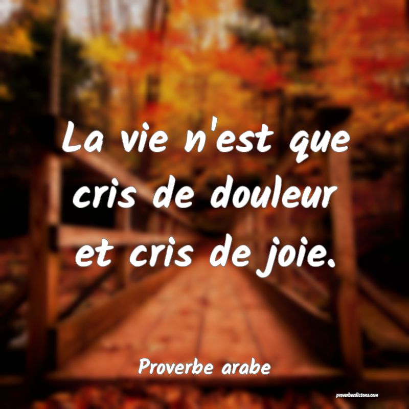 La vie n'est que cris de douleur et cris de joie.