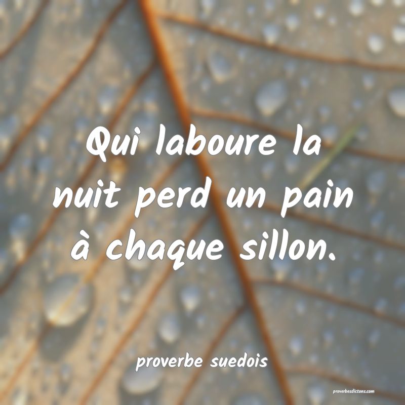  Qui laboure la nuit perd un pain à chaque sillon.