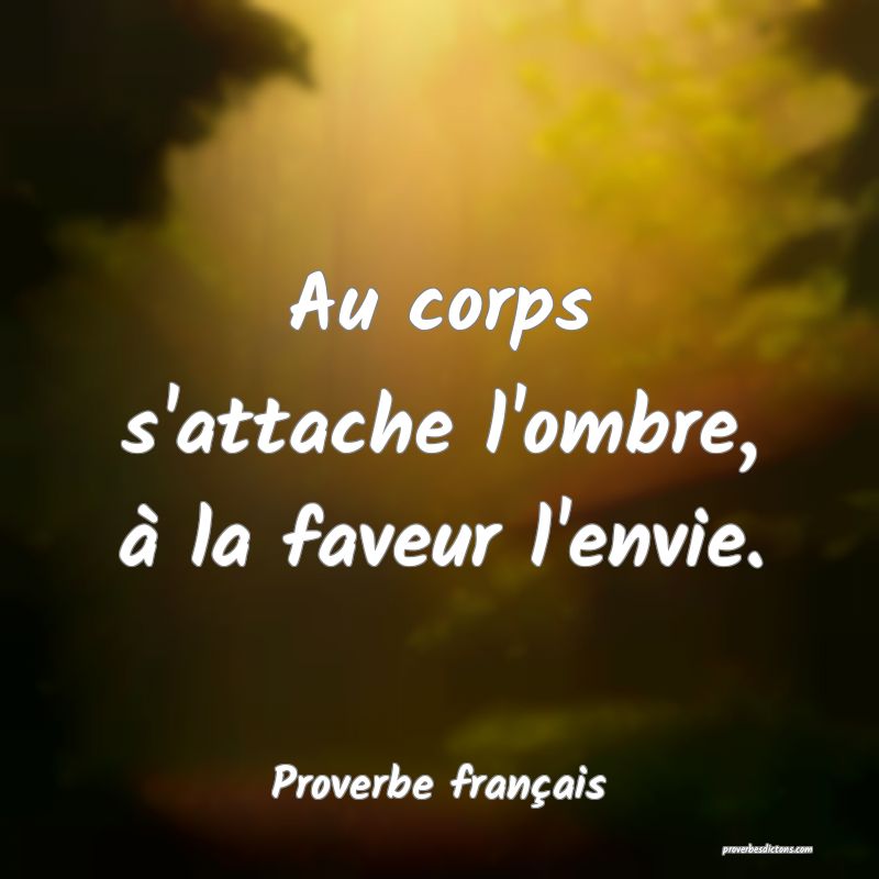 Au corps s'attache l'ombre, à la faveur l'envie.