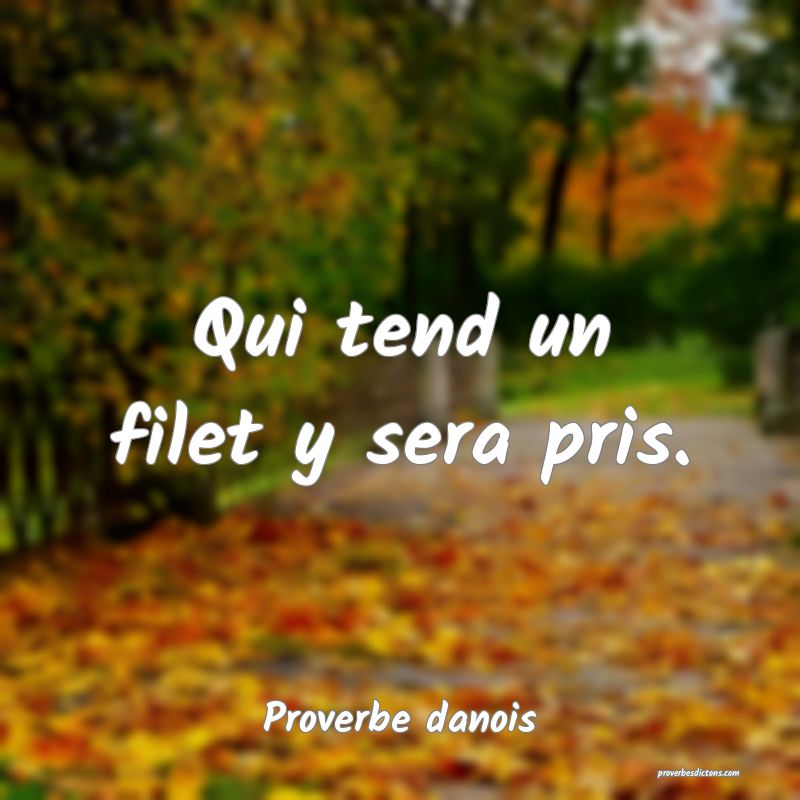 Qui tend un filet y sera pris.