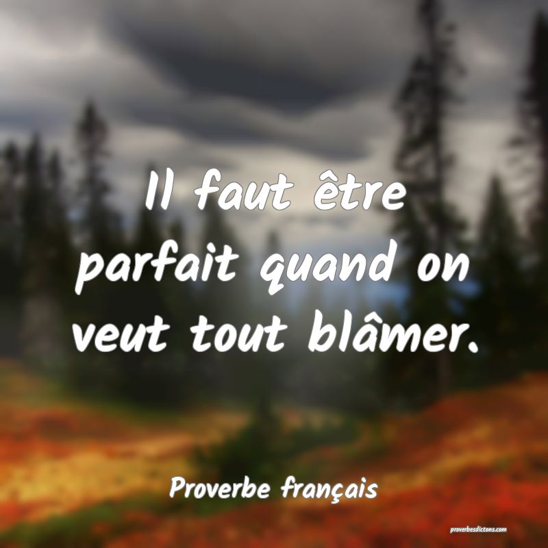 Il faut être parfait quand on veut tout blâmer.