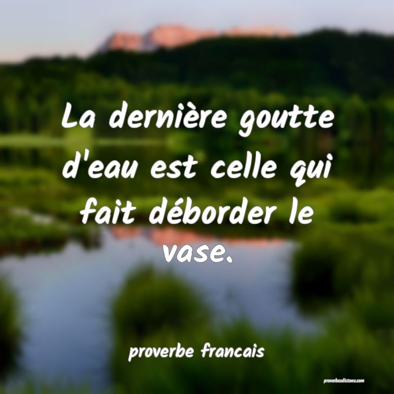  La dernière goutte d'eau est celle qui fait déborder le vase.