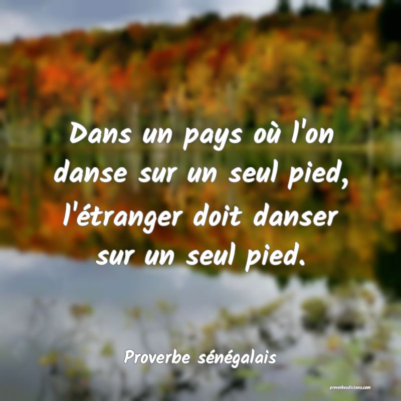 Dans un pays où l'on danse sur un seul pied, l'étranger doit danser sur un seul pied.