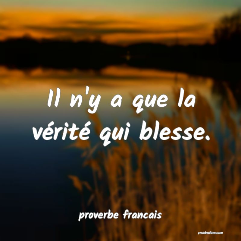  Il n'y a que la vérité qui blesse.