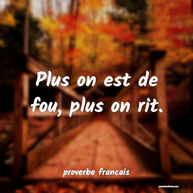  Plus on est de fou, plus on rit.