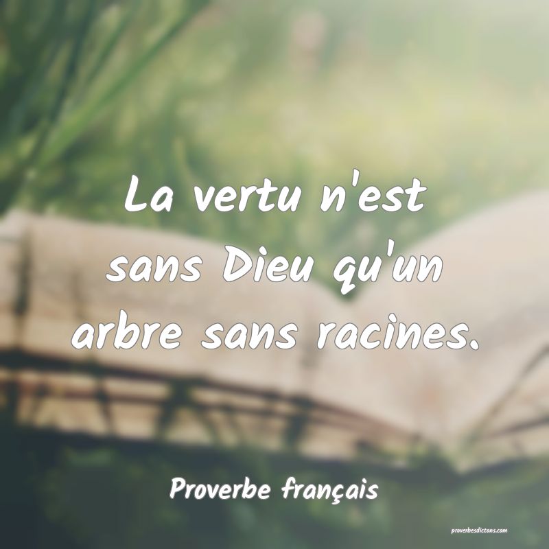 La vertu n'est sans Dieu qu'un arbre sans racines.