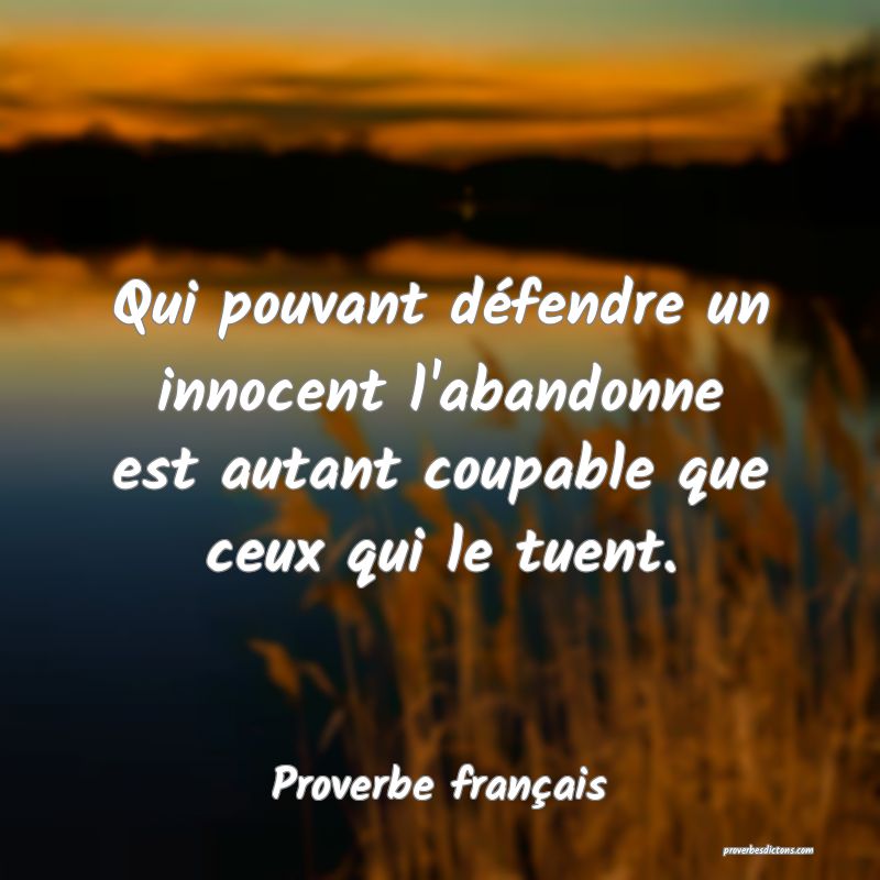 Qui pouvant défendre un innocent l'abandonne est autant coupable que ceux qui le tuent.