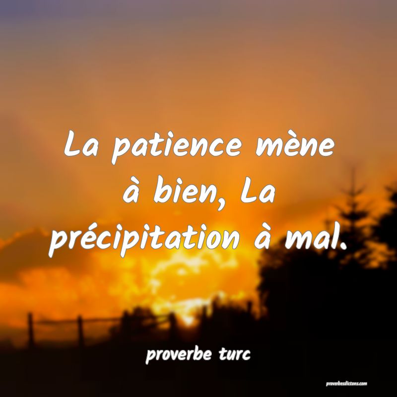  La patience mène à bien, La précipitation à mal.
