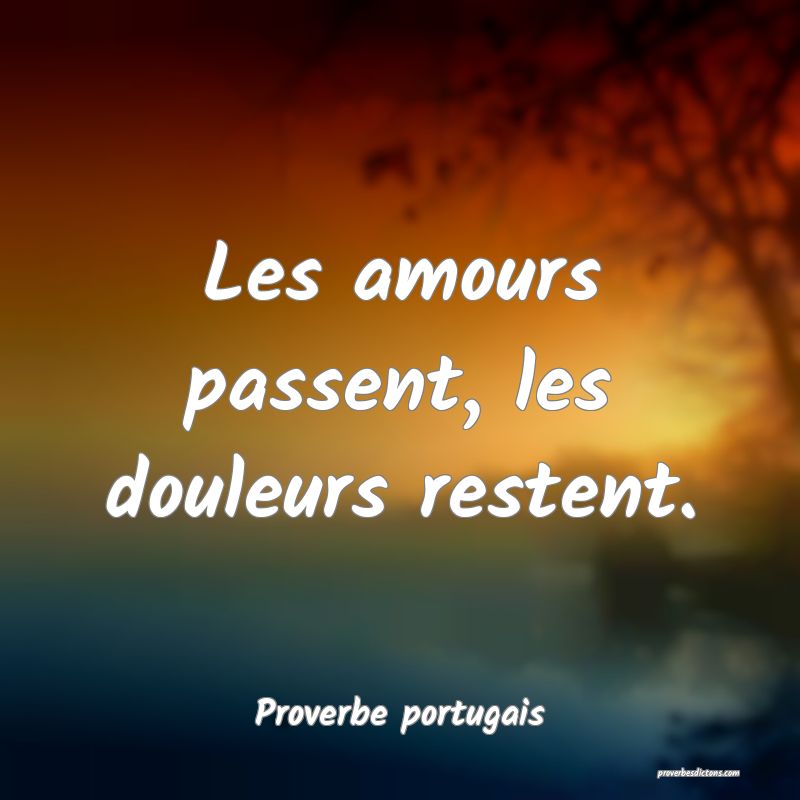Les amours passent, les douleurs restent.