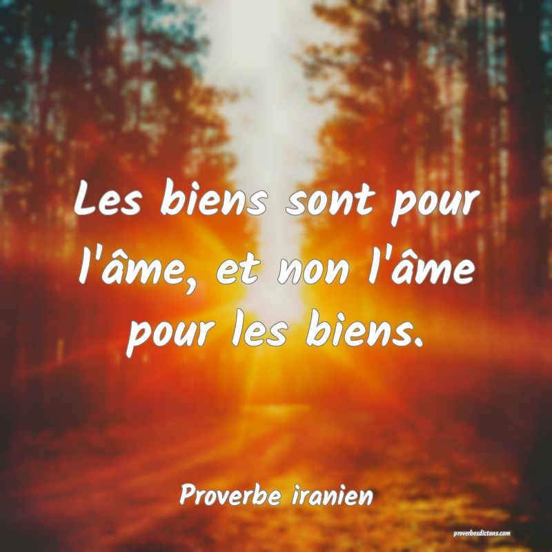 Les biens sont pour l'âme, et non l'âme pour les biens.