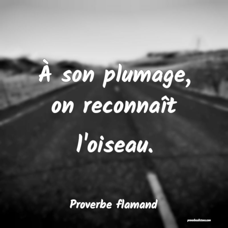 À son plumage, on reconnaît l'oiseau.