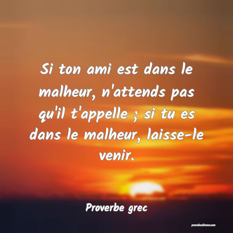 Si ton ami est dans le malheur, n'attends pas qu'il t'appelle ; si tu es dans le malheur, laisse-le venir.