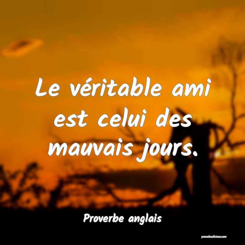 Le véritable ami est celui des mauvais jours.