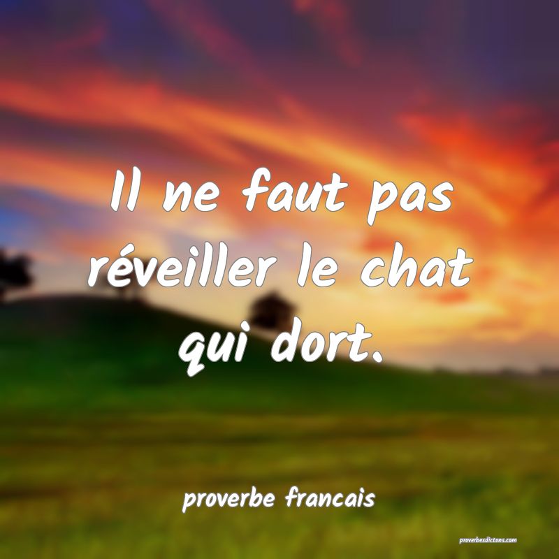  Il ne faut pas réveiller le chat qui dort.
