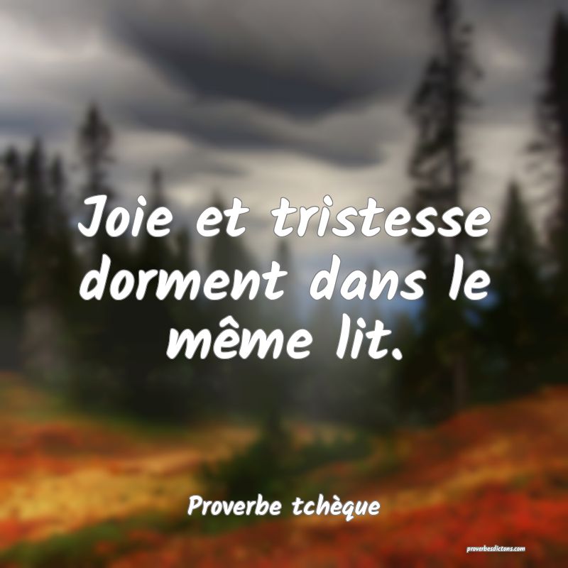 Joie et tristesse dorment dans le même lit.