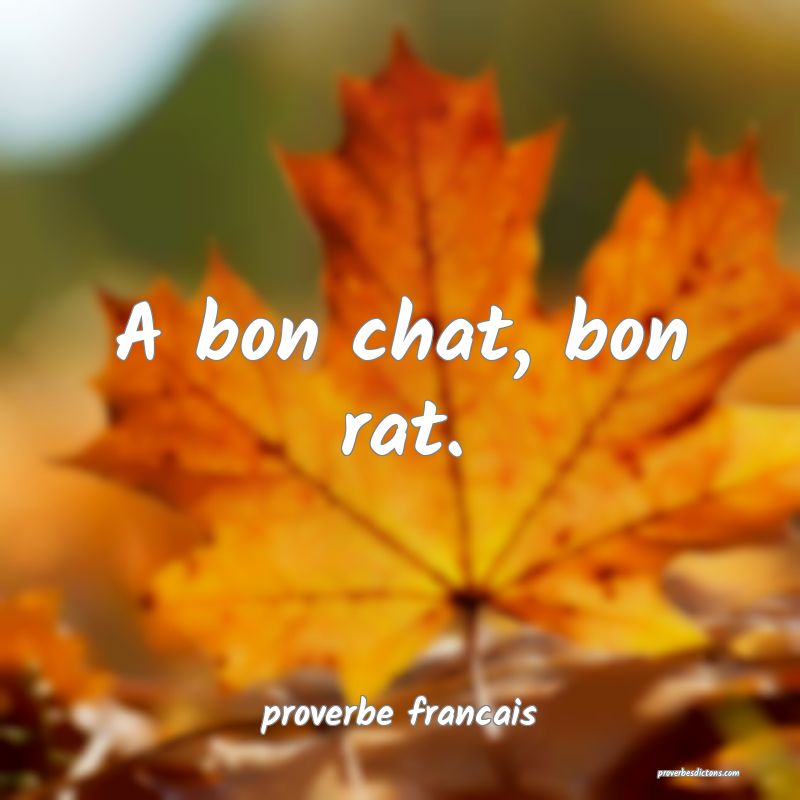  A bon chat, bon rat.