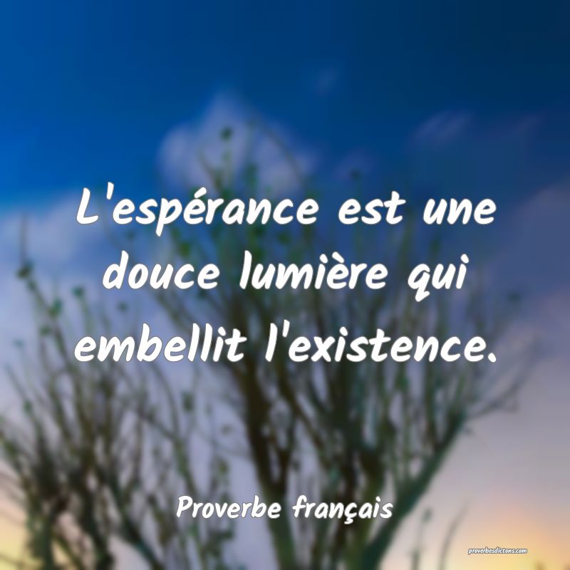 L'espérance est une douce lumière qui embellit l'existence.